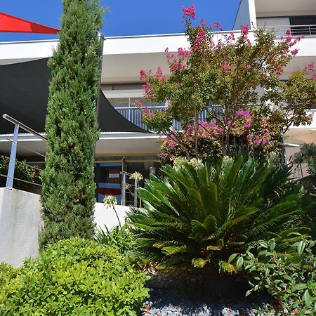Hotel Les Eucalyptus Porto-Pollo Eksteriør billede