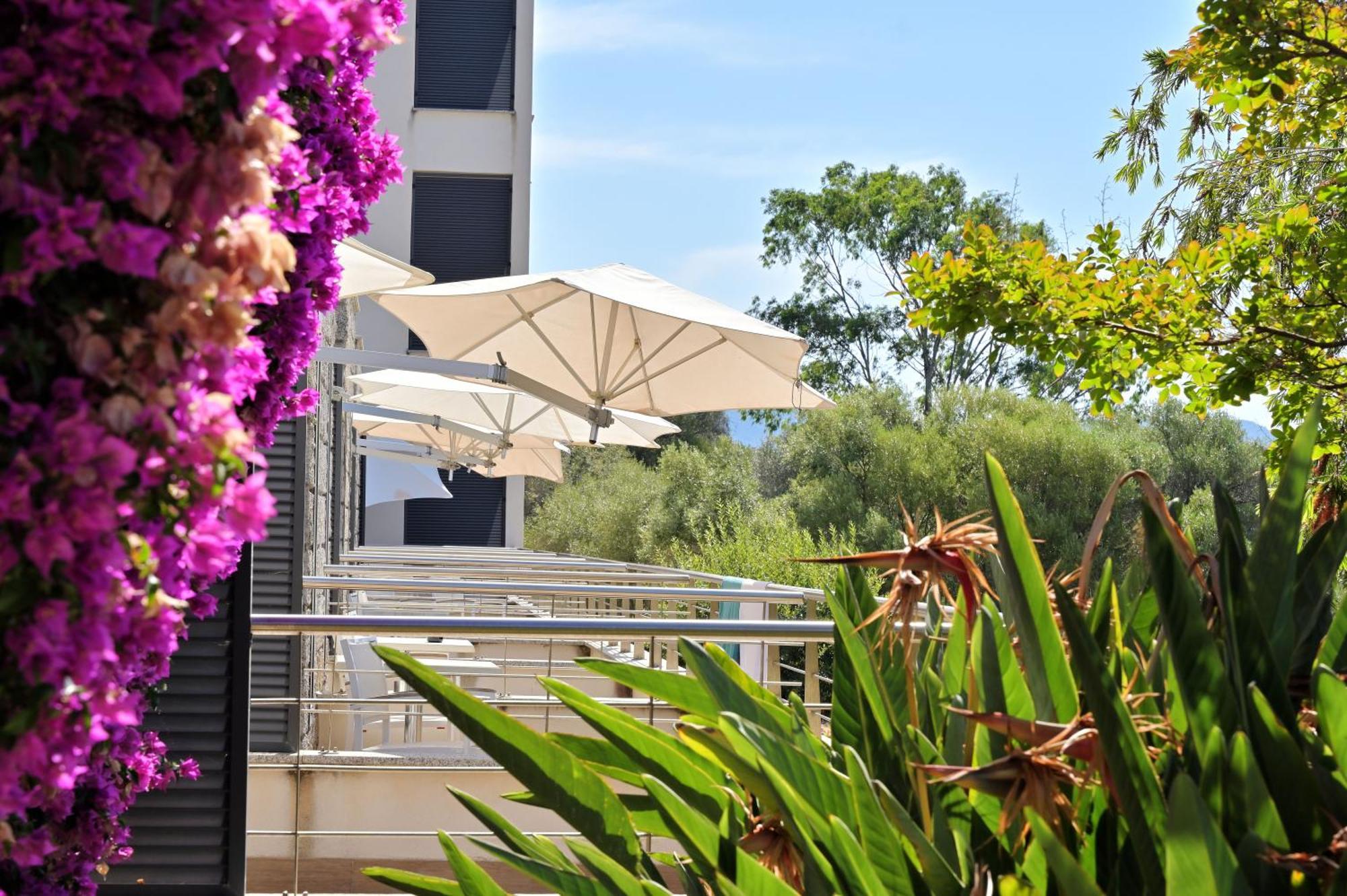 Hotel Les Eucalyptus Porto-Pollo Eksteriør billede